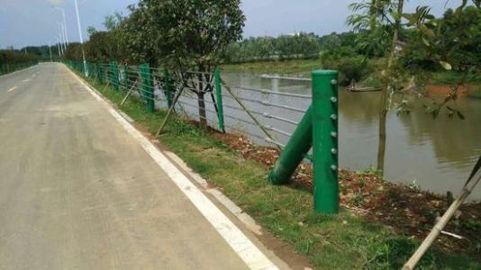 u=3976325018,3617824608&fm=26&gp=0 u=3976325018,3617824608&fm=26&gp=0